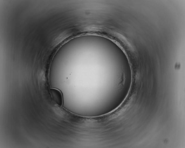 X0000103281209200809051523