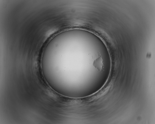 X0000103281210200809051523