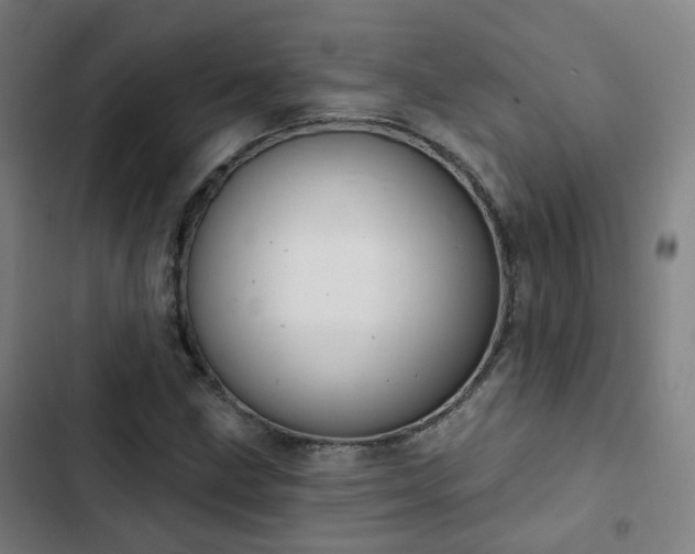 X0000103281211200809051523