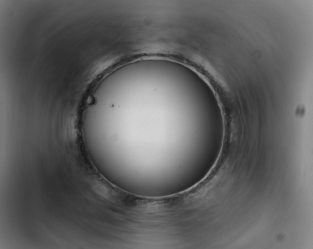 X0000103281213200809051523