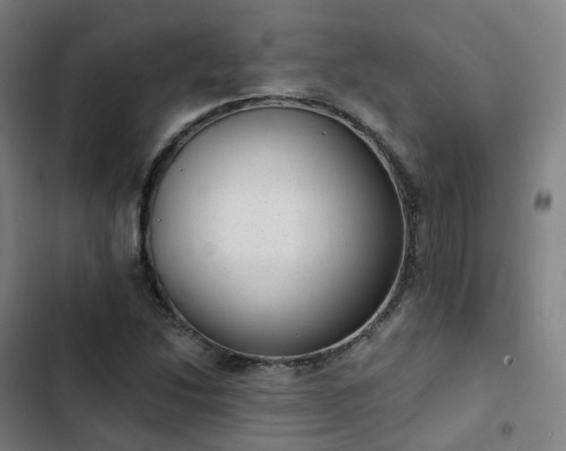 X0000103281214200809051523