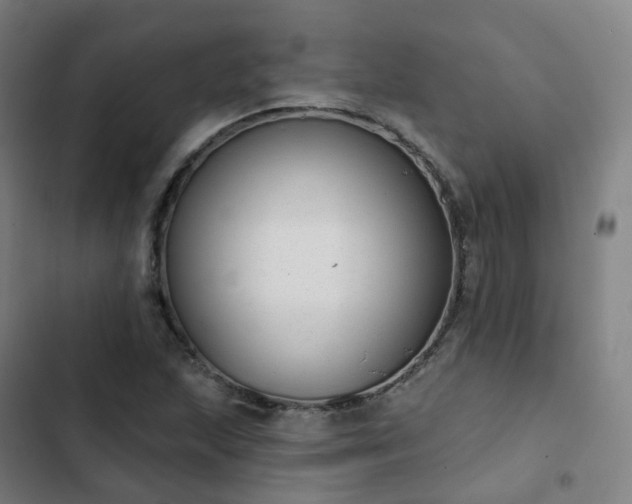 X0000103281215200809051523