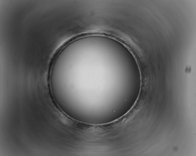 X0000103281216200809051523