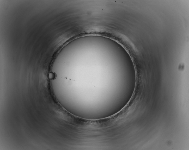 X0000103281217200809051523