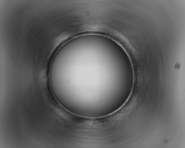 X0000103281218200809051523