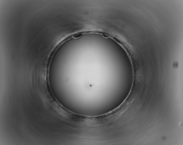 X0000103281220200809051523