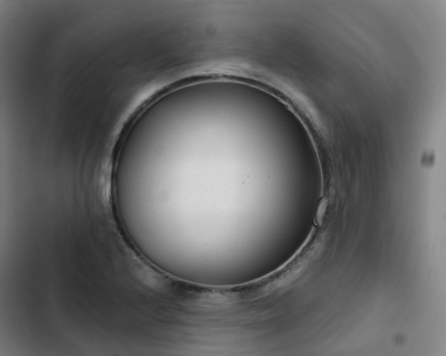 X0000103281224200809051523