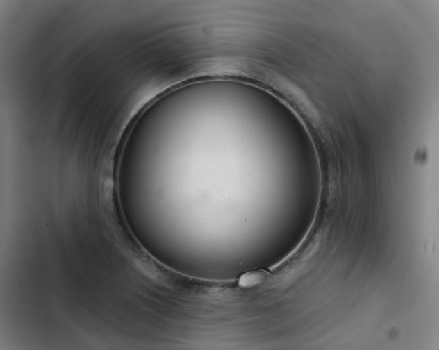 X0000103281226200809051523