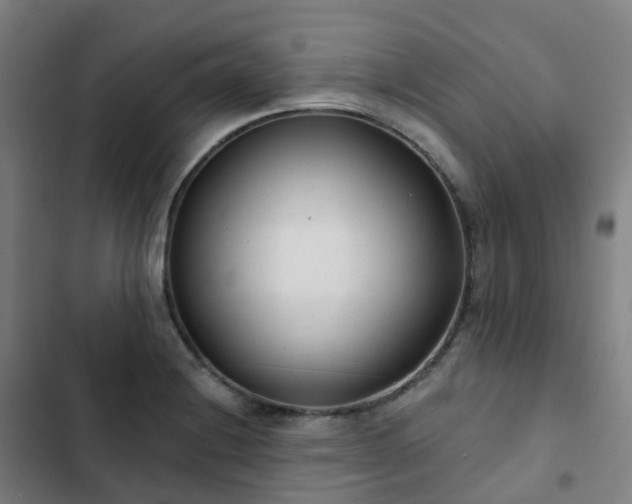 X0000103281228200809051523