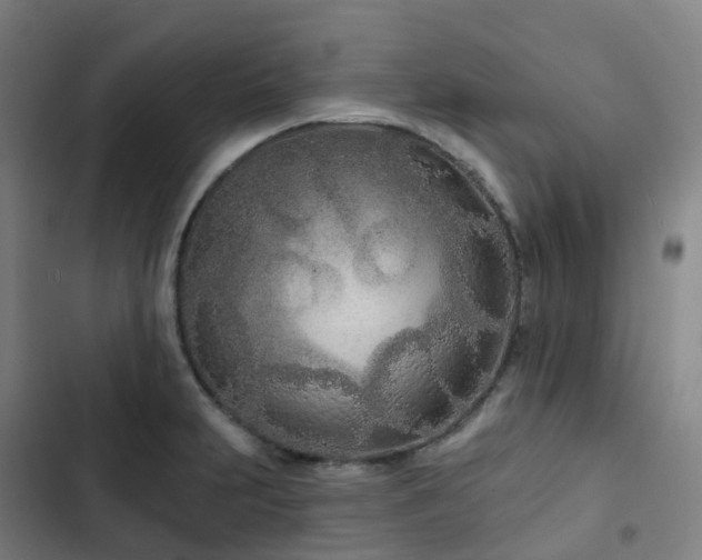 X0000103281231200809051523