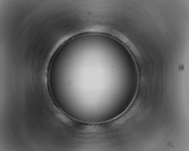 X0000103281232200809051523