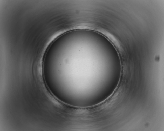 X0000103281238200809051523