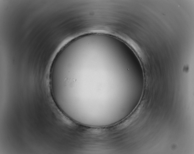 X0000103281240200809051523