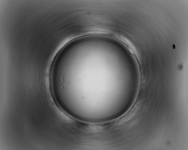 X0000103281243200809051523