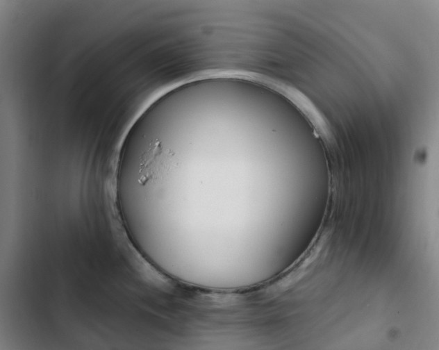 X0000103281244200809051523