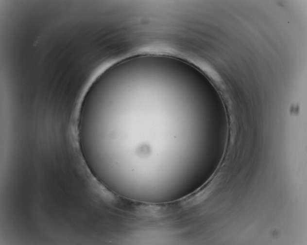 X0000103281248200809051523