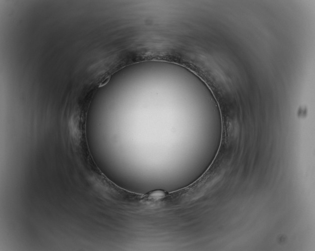 X0000103281250200809051523