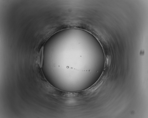 X0000103281251200809051523