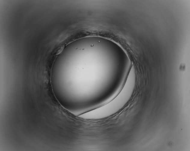 X0000103281253200809051523