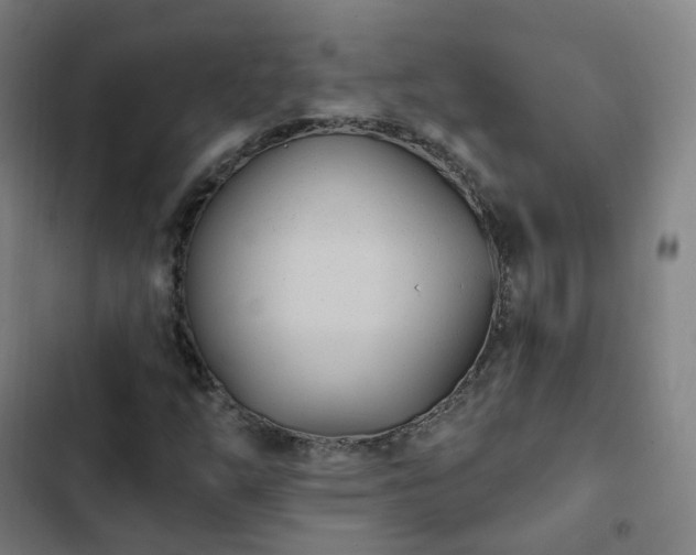 X0000103281254200809051523