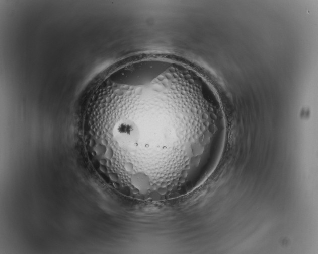 X0000103281255200809051522