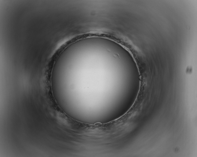 X0000103281256200809051522