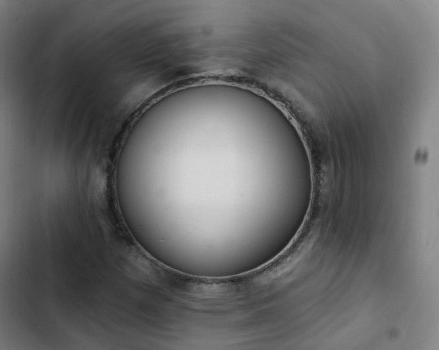 X0000103281257200809051522