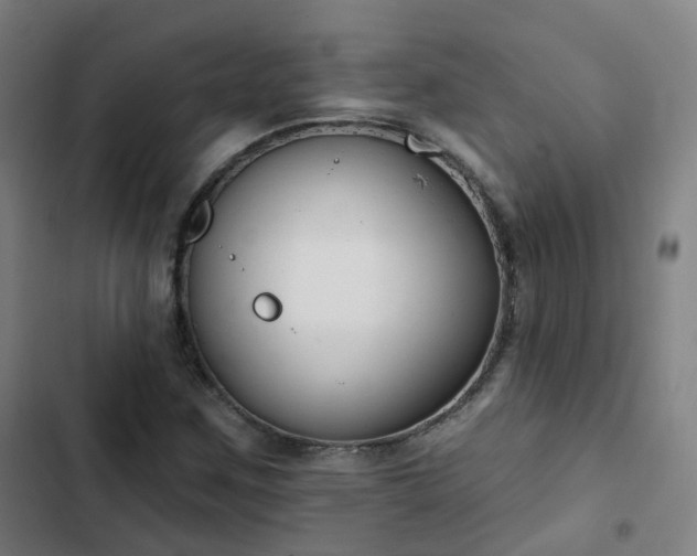 X0000103281259200809051522