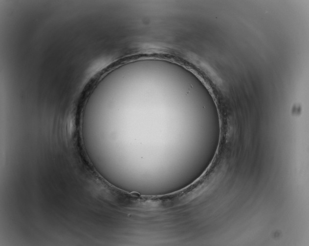 X0000103281261200809051522