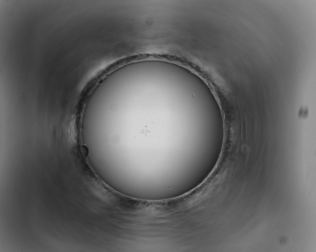 X0000103281262200809051522