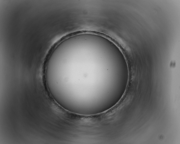 X0000103281264200809051522