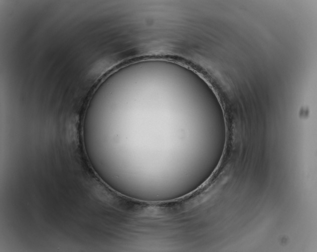 X0000103281265200809051522