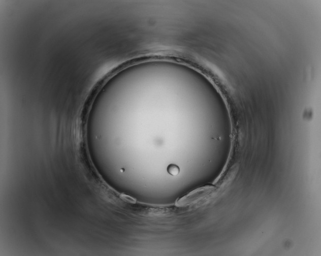 X0000103281267200809051522