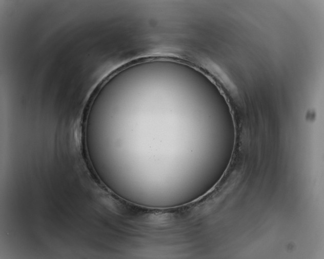 X0000103281268200809051522