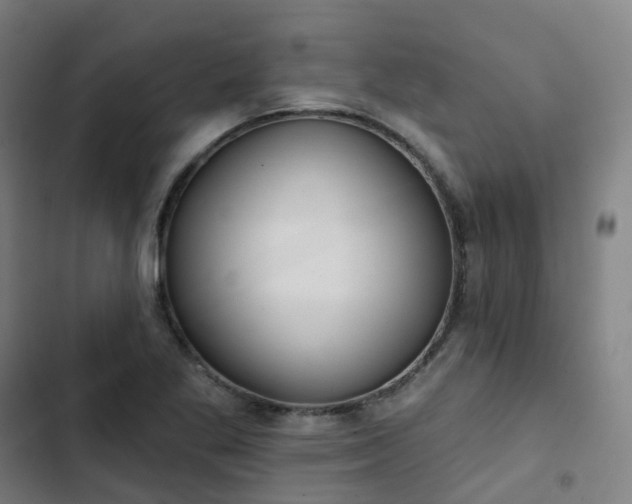 X0000103281269200809051522