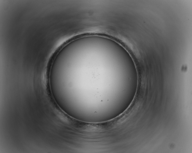 X0000103281270200809051522