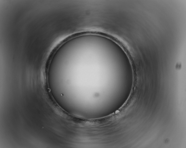 X0000103281271200809051522