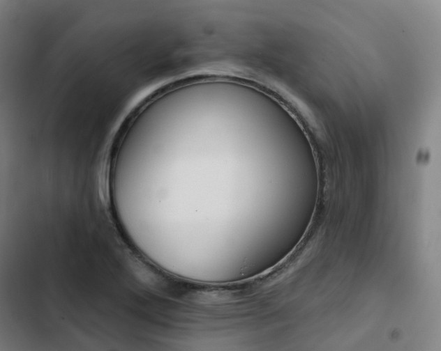 X0000103281272200809051522