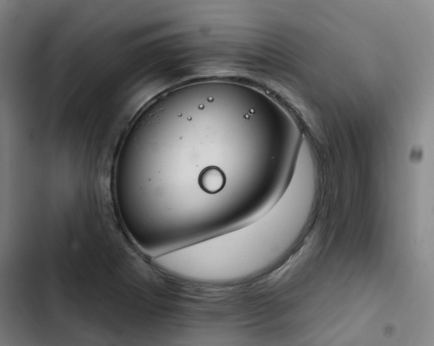 X0000103281273200809051522