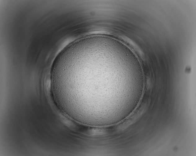 X0000103281274200809051522