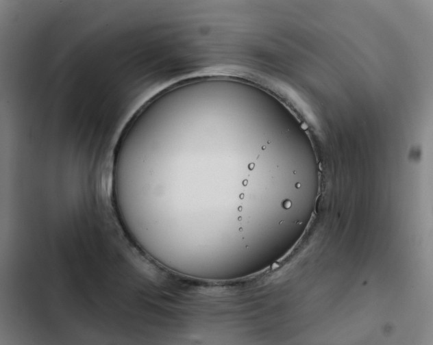 X0000103281276200809051522