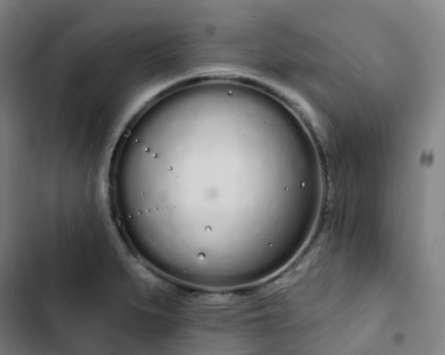 X0000103281279200809051522