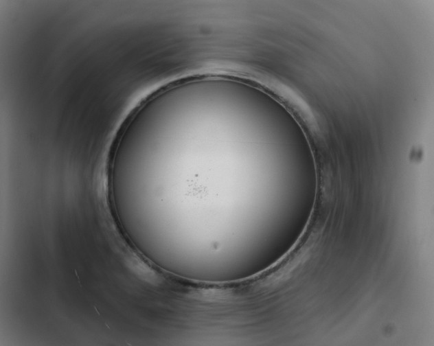 X0000103281280200809051522