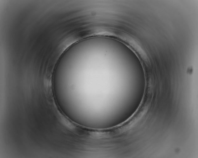 X0000103281281200809051522