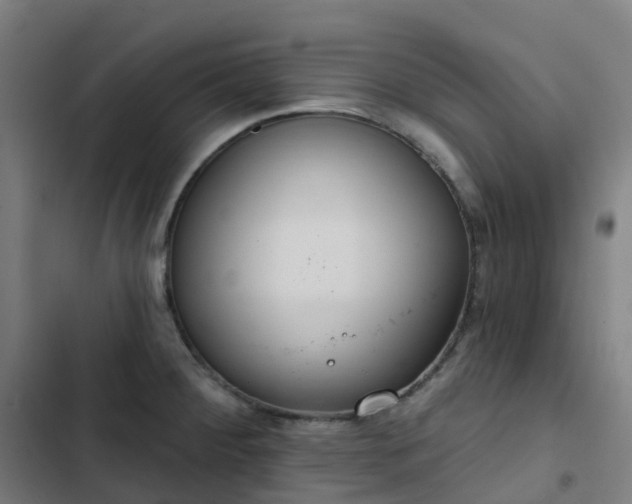 X0000103281284200809051522