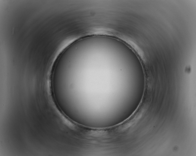 X0000103281285200809051522