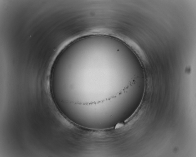 X0000103281288200809051522