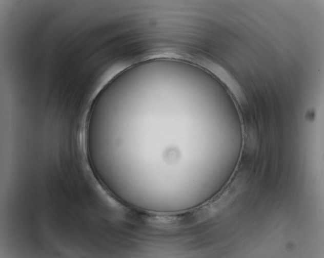 X0000103281290200809051522