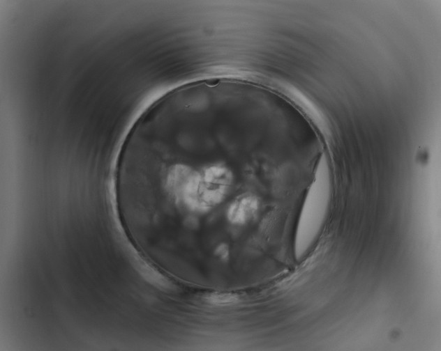 X0000103281291200809051522