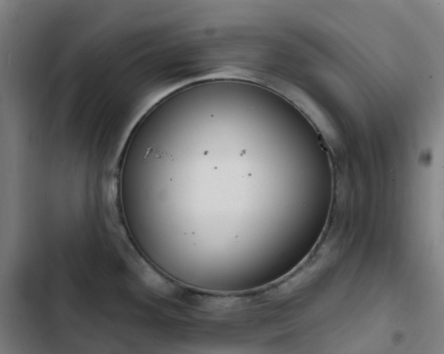 X0000103281292200809051522